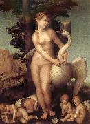 Andrea del Sarto Swan oil painting